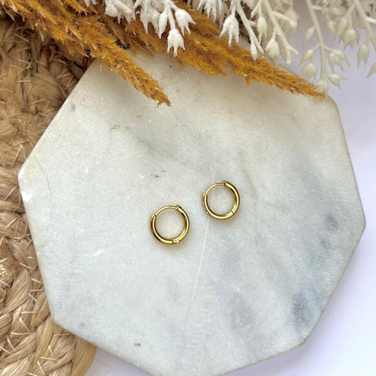 Cristal Hoops
